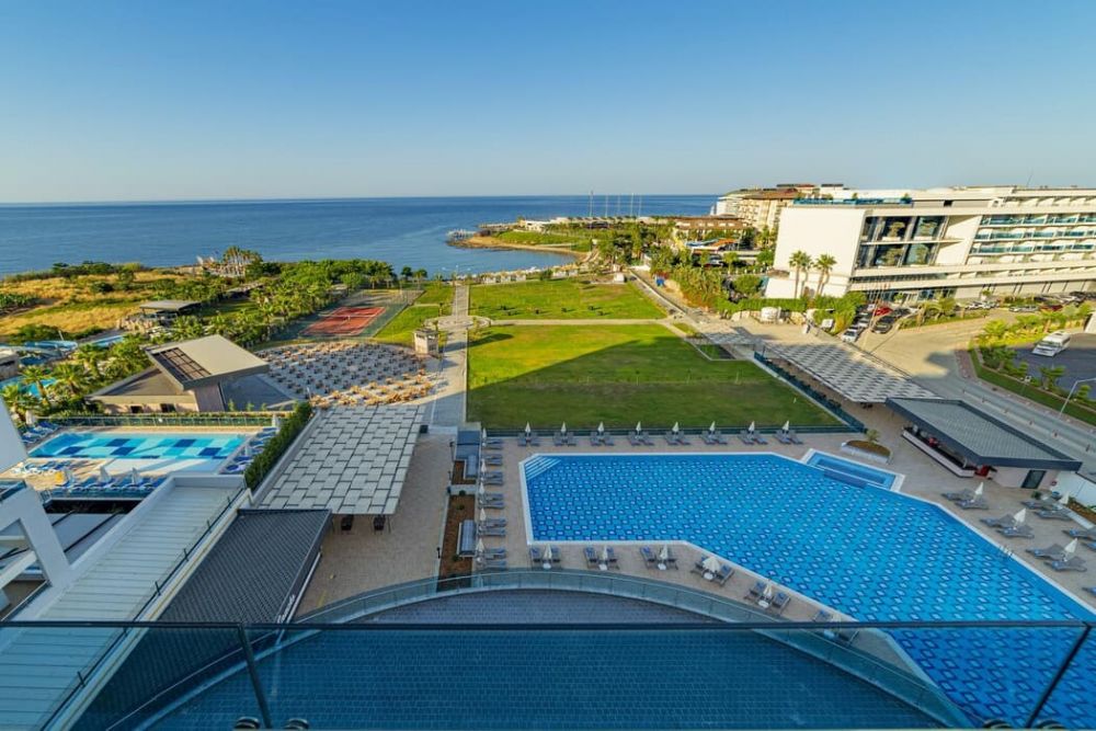 Lonicera Premium Lonicera Premium